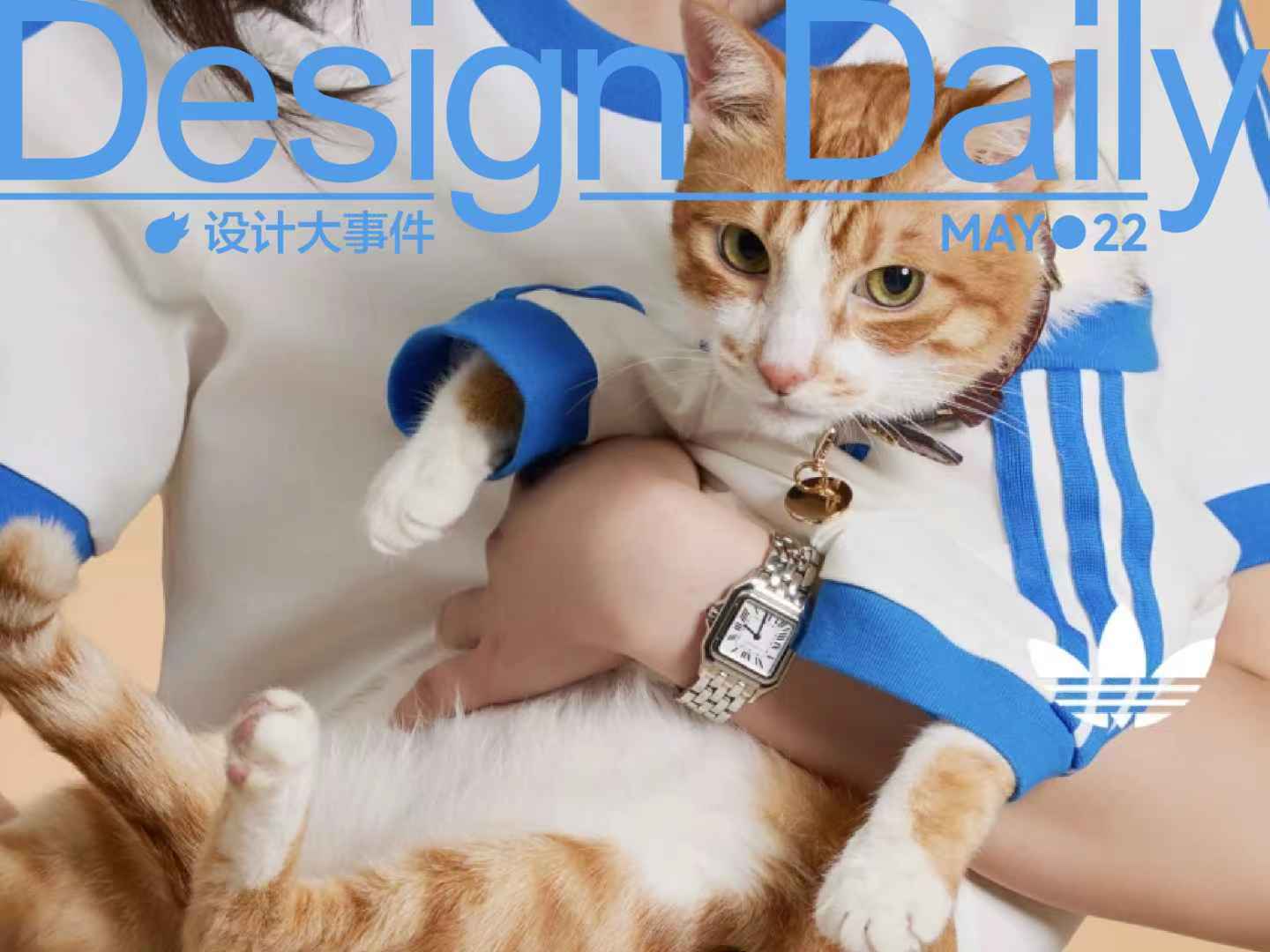 Miu Miu商标案在台湾败诉/adidas Originals推出首个宠物系列/爱马仕匠心工坊全球巡展