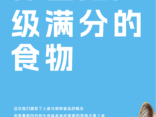 满分宠物食物——《超级满分》