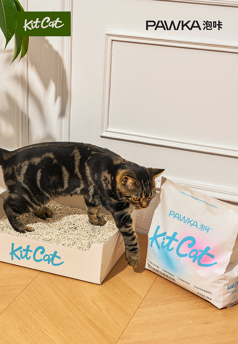 让猫咪像在大自然中如厕——《Kit Cat》猫砂（图ZMzkwODY3NzA4） - 电商 - 站酷设计师喵、无邪原创素材 - 站酷ZCOOL