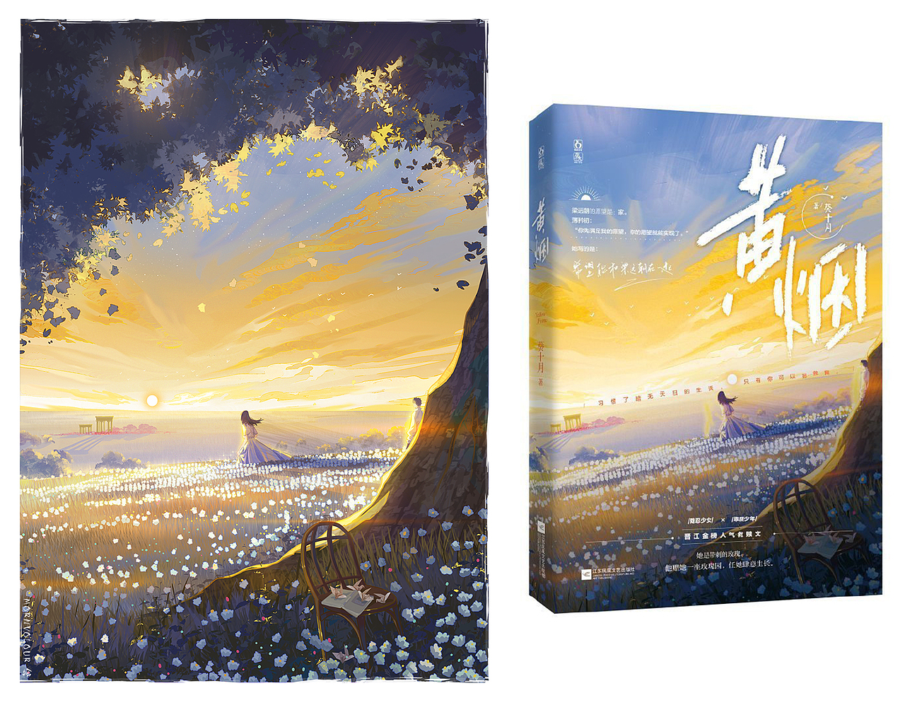 近期画的一些封面插画（图ZMzkwODcwMDU2） - 商业插画 - 站酷设计师MORNCOLOUR原创素材 - 站酷ZCOOL