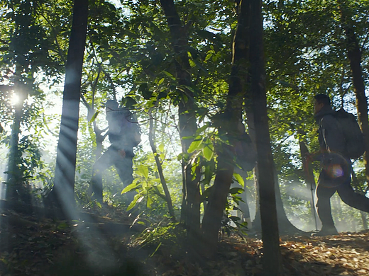 OnePlus Ace3|性能手机新标杆!