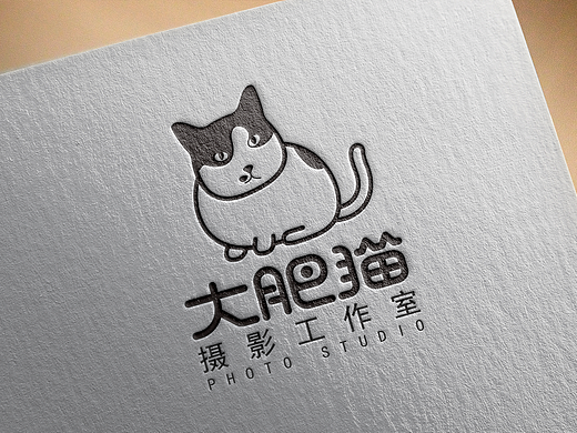 大肥猫摄影