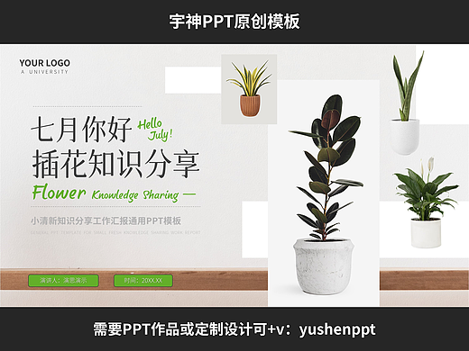 小清新插画知识分享工作汇报PPT模板