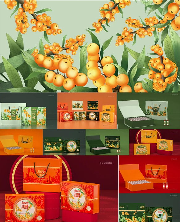 包装设计|手绘插画沙棘果汁礼盒包装设计