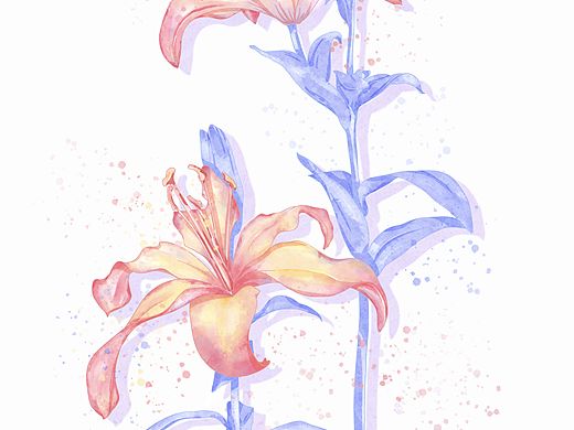 水彩花卉