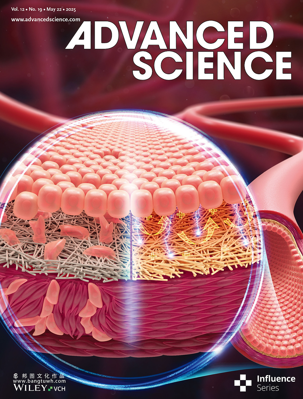 Advanced Science杂志封面汇总展示