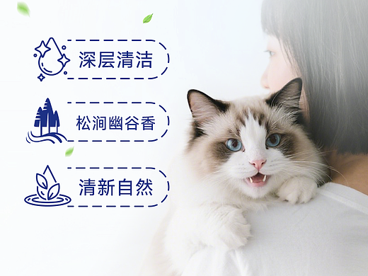 宠物产品详情页（仅限视觉展示 内容请不予理会）