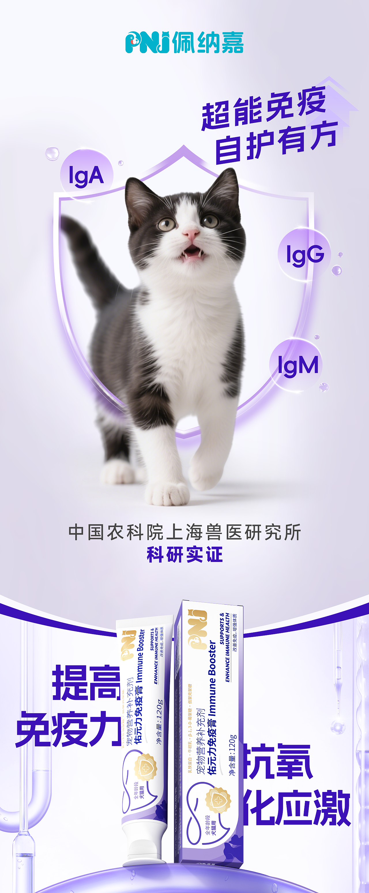 宠物产品kv(仅限视觉展示 内容请不予理会)