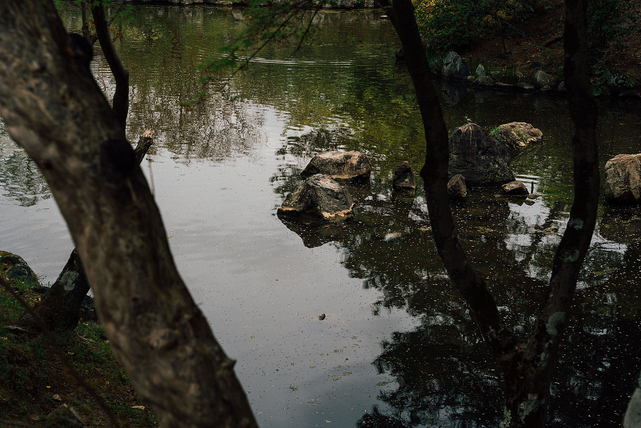 京都漫步  3