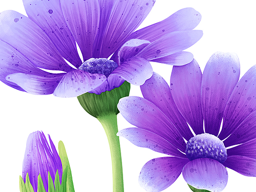 花卉插画
