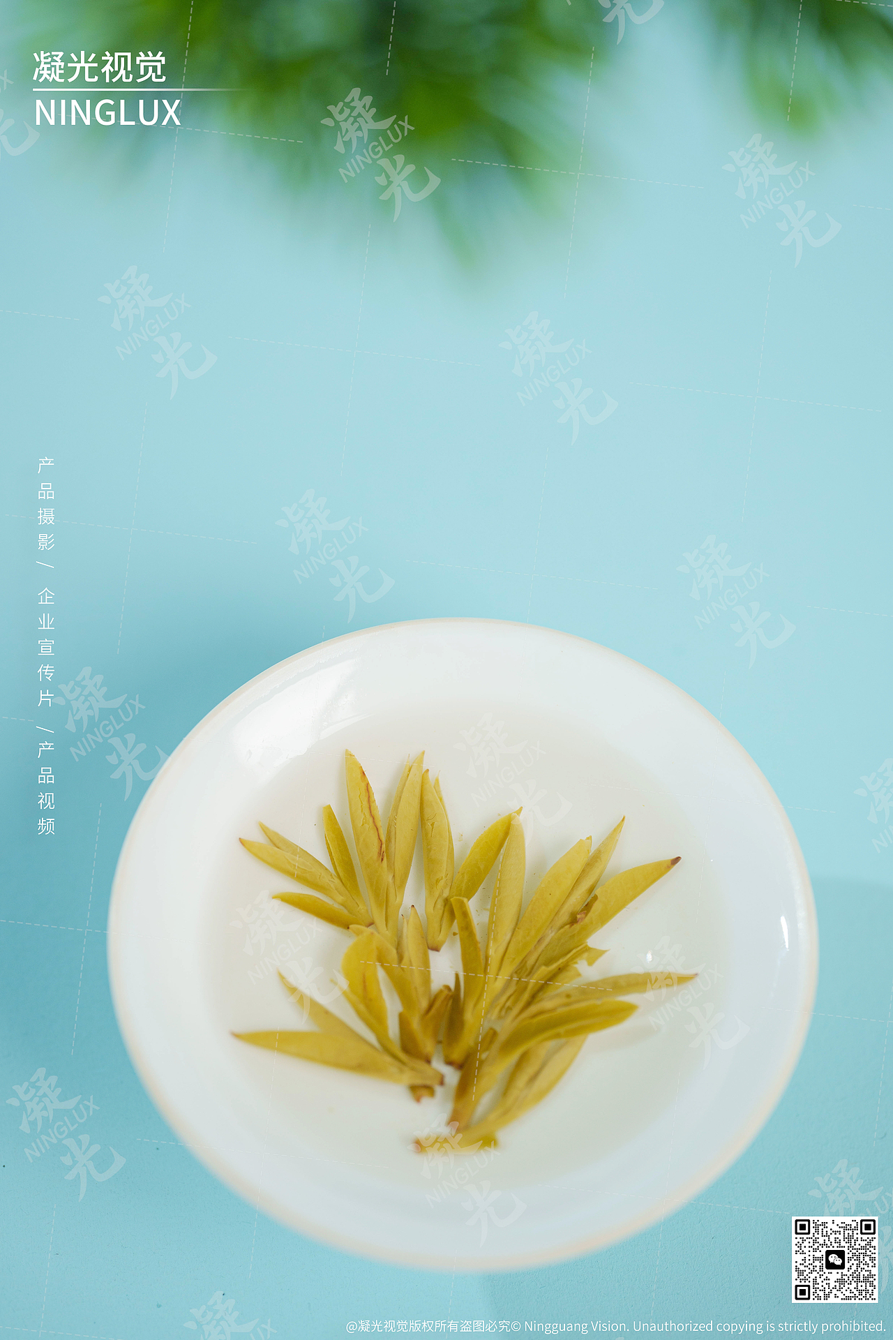 这杯绿茶 一口鲜爽直接魂穿云雾茶山