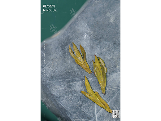 「这杯绿茶，喝到了山间的清风🍃」