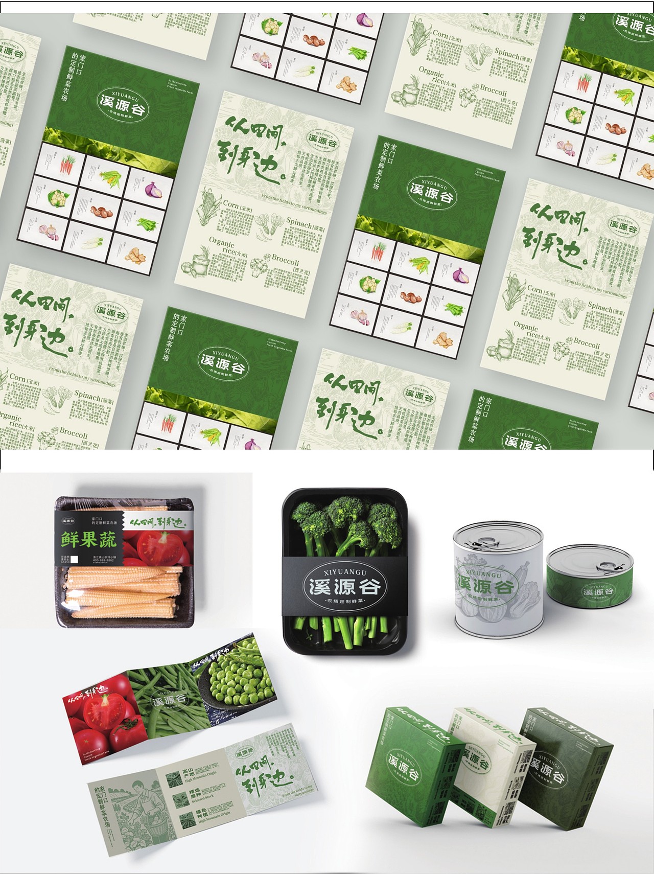 溪源谷| 定制鲜菜农场 品牌设计