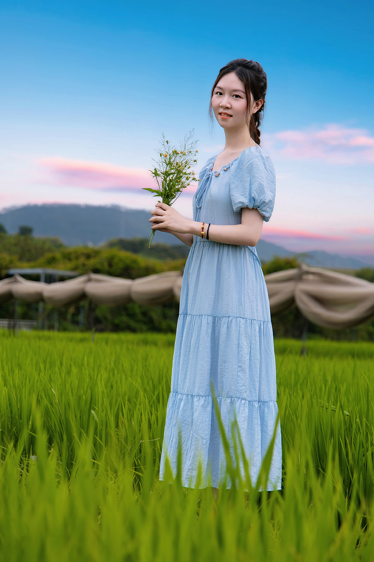 🌈《蓝色是天空写给稻田的情书》✉️