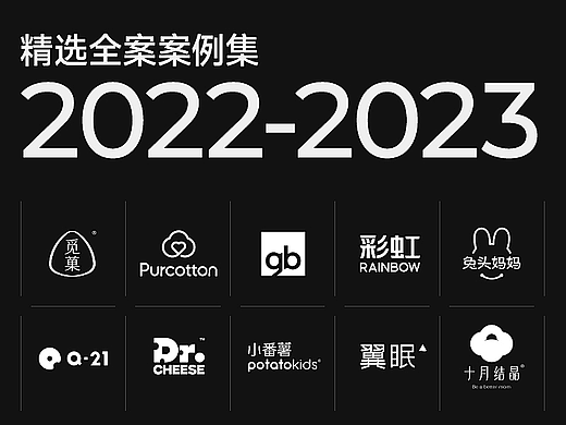 2022-2023精选全案案例集