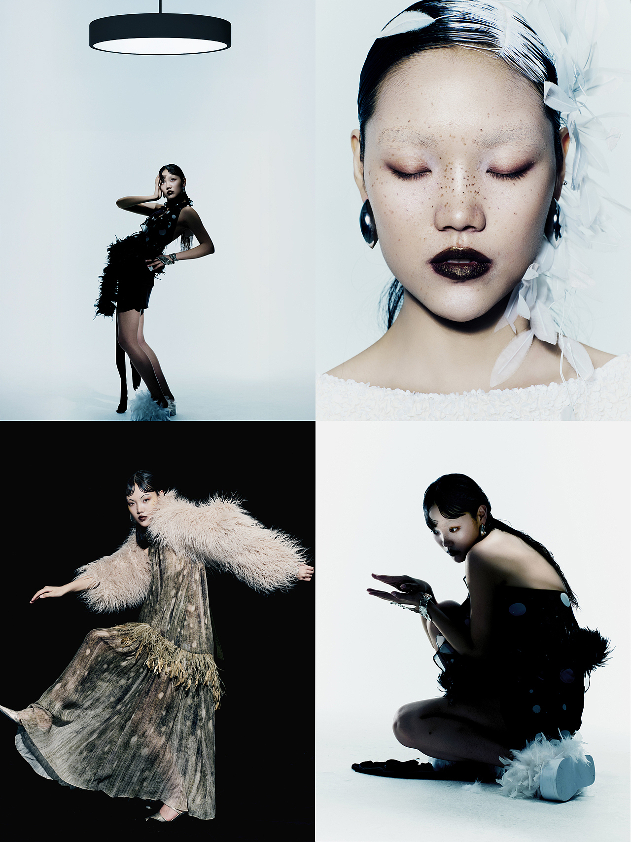 鸟羽 / 被驯化的飞翔欲