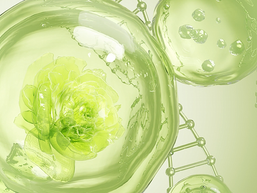 美妆气泡动画渲染