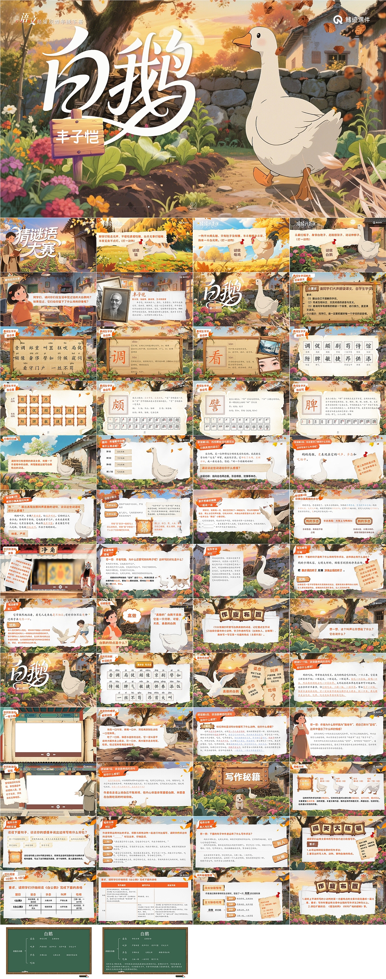 小学语文公开课课件《白鹅》