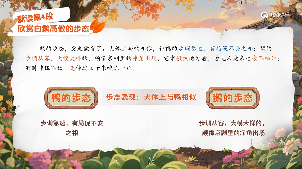 小学语文公开课课件《白鹅》