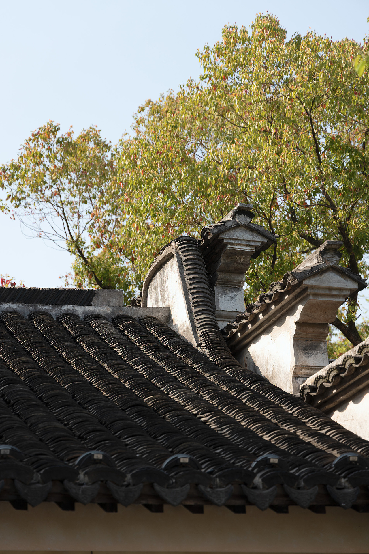 小茶栽堂 | 江苏无锡|欧阳跳建筑设计（图ZMzkxMDUzNzAw） - 商业空间设计 - 站酷设计师欧阳跳原创素材 - 站酷ZCOOL