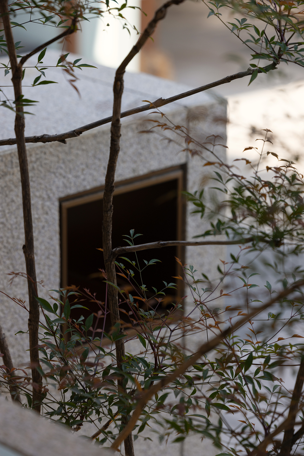 小茶栽堂 | 江苏无锡|欧阳跳建筑设计（图ZMzkxMDU0NTA4） - 商业空间设计 - 站酷设计师欧阳跳原创素材 - 站酷ZCOOL