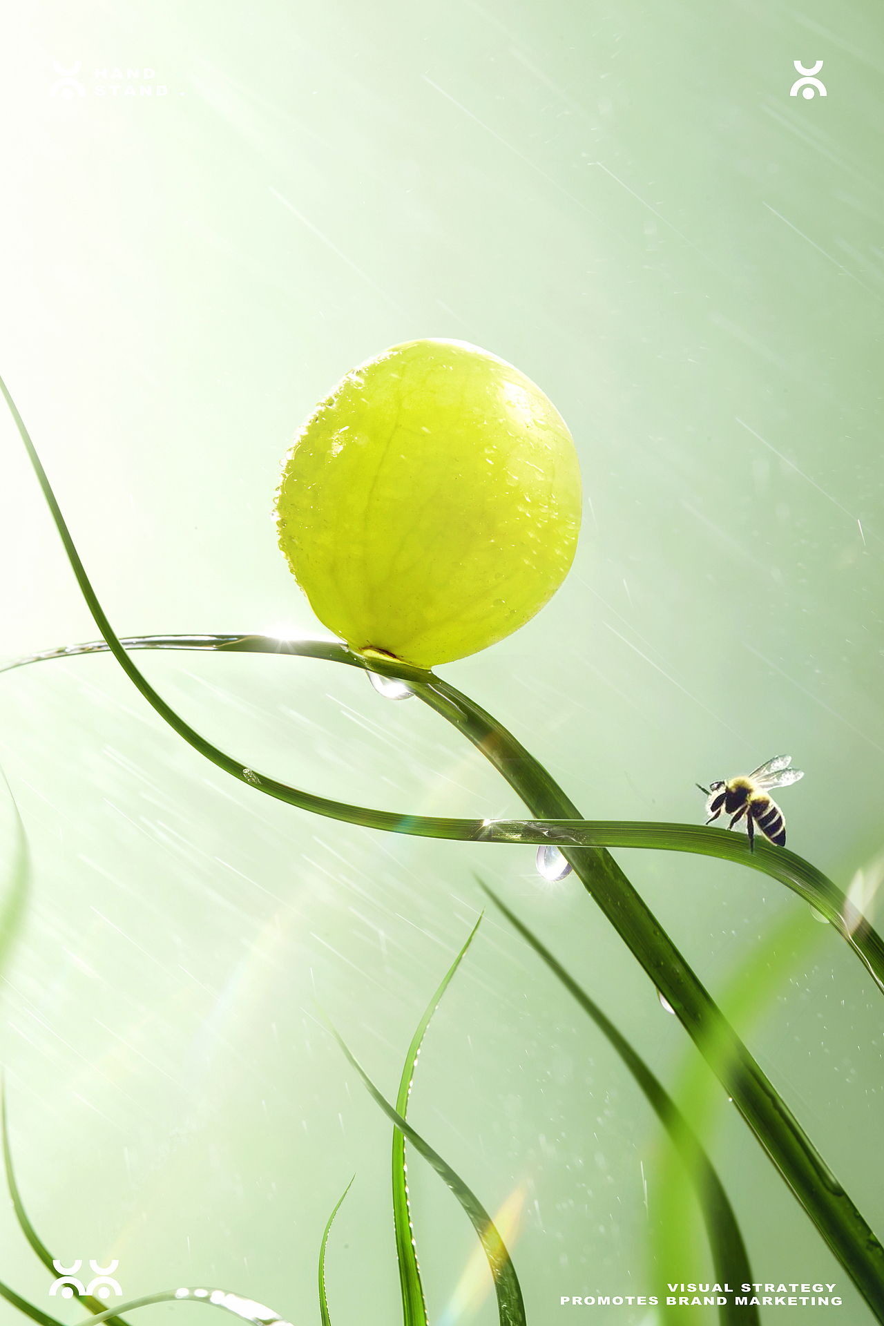 青提 ｜ 五月刊 May issue ｜Handstand倒立（图ZMzkxMDU2ODI0） - 美食摄影 - 站酷设计师Handstand倒立原创素材 - 站酷ZCOOL