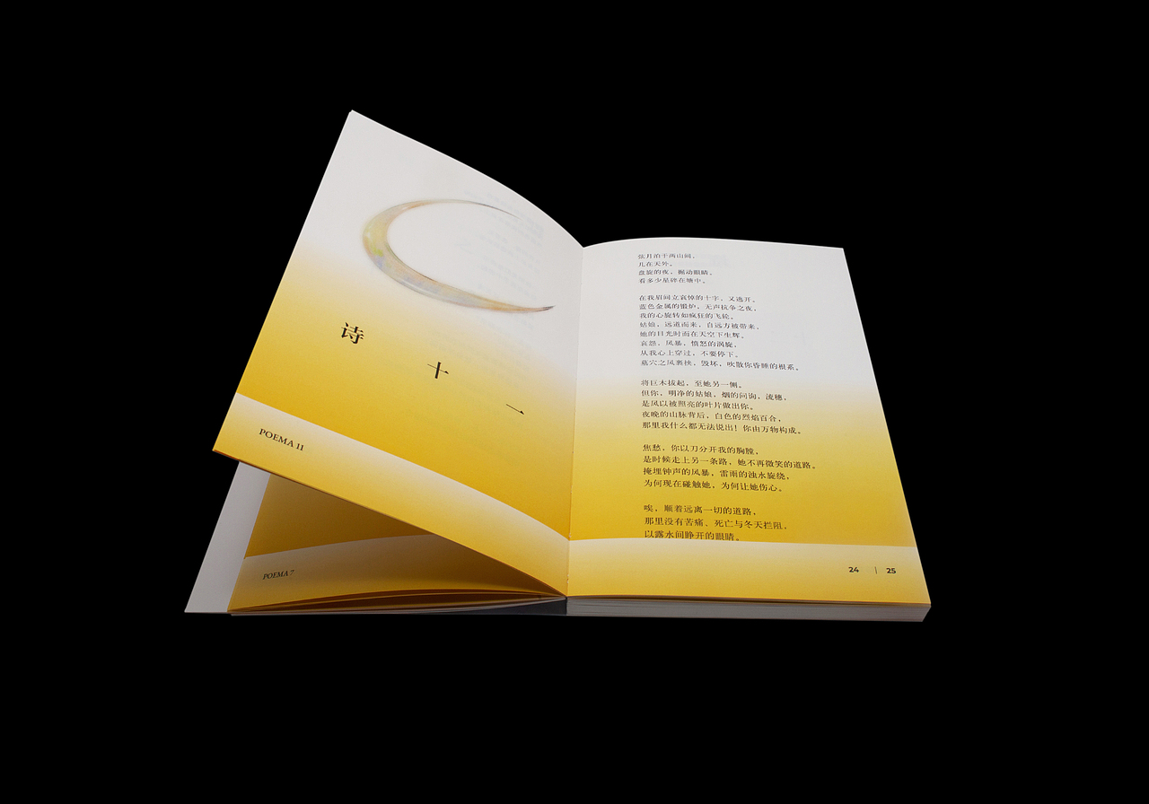 书籍设计 | 诗集《只有新的神咬过爱的苹果》(图ZMzkxMDk2MTgw) - 书籍/画册 - 站酷设计师付诗意原创素材 - 站酷ZCOOL