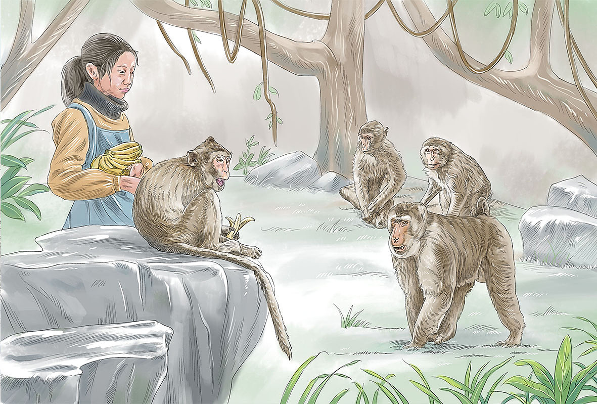 一些已出版的插画