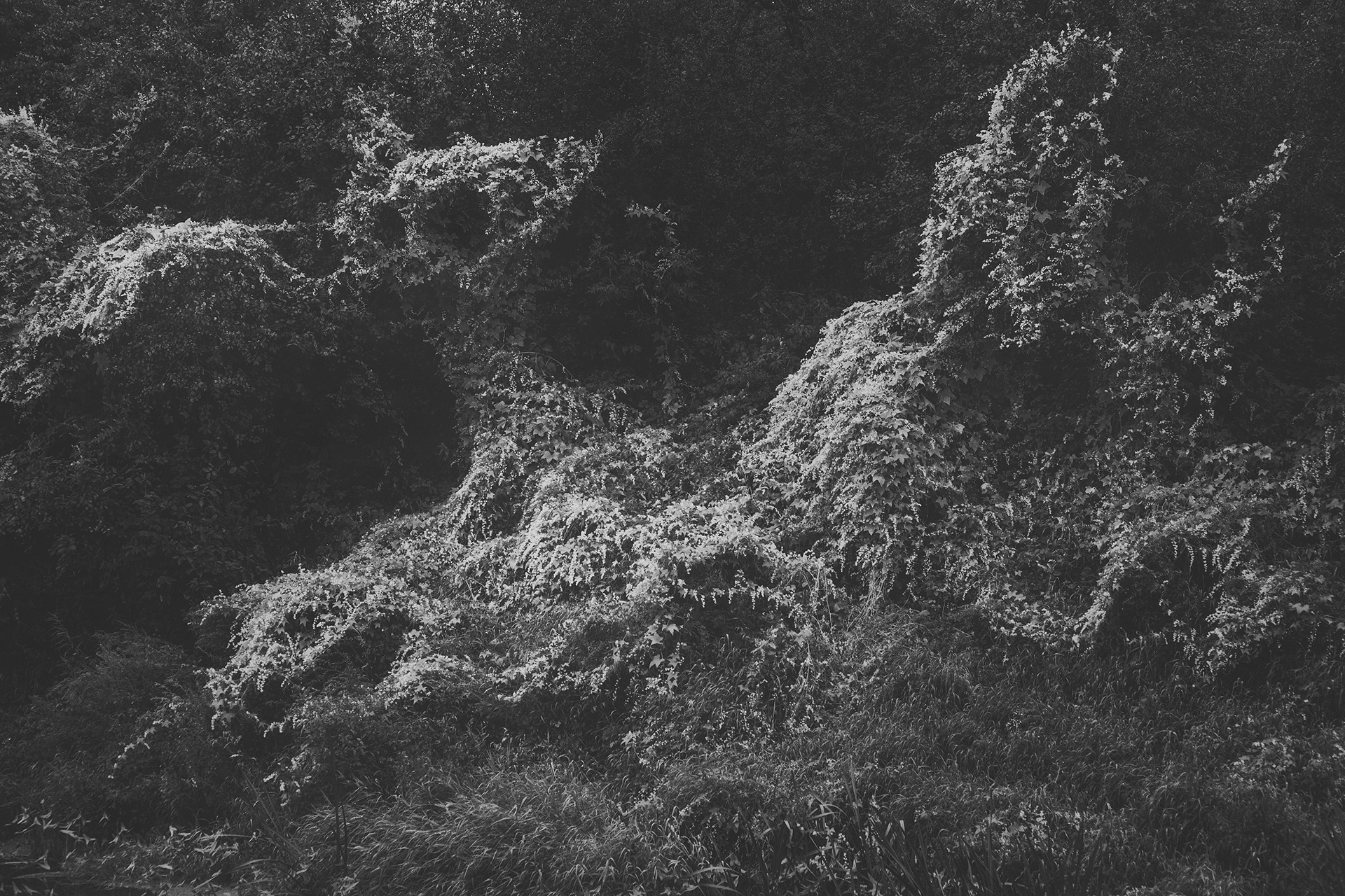 孫容的个人主页（封面预览） - 主页封面设置 - 站酷设计师孫容原创素材 - 站酷ZCOOL