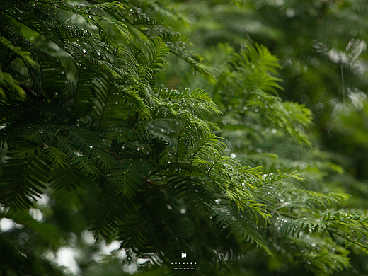 多雨之喜，内在畅行。