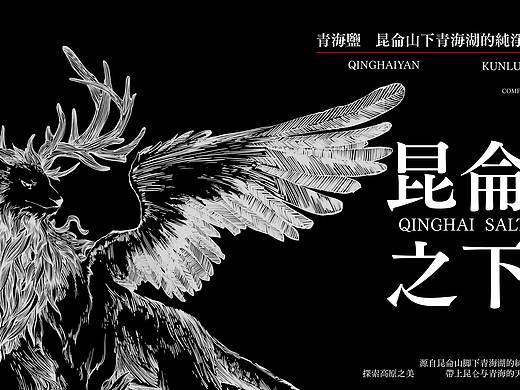 武汉理工大学丨大二丨视觉传达丨余同学丨向量设计