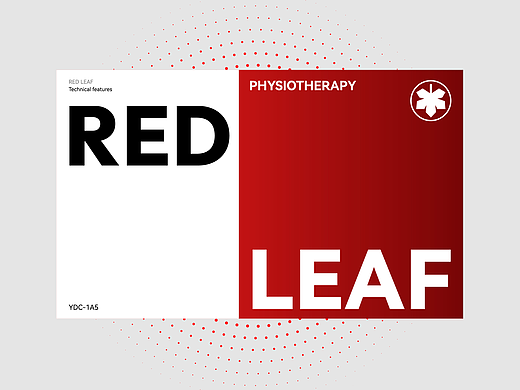 RED LEAF 品牌VI升级