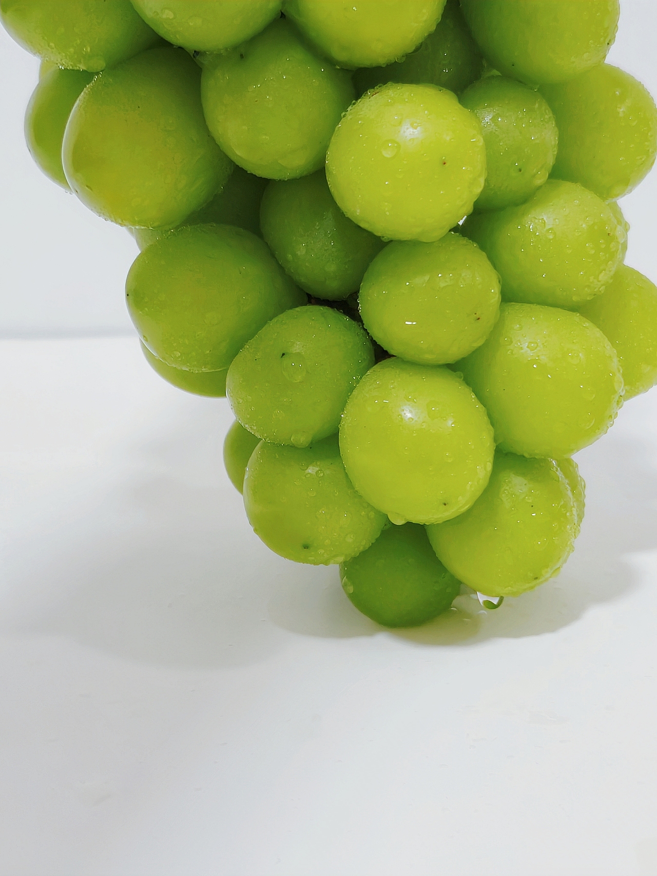 夏天的綠色記憶（圖ZMzkxMTU2MDAw） - 美食攝影 - 站酷設(shè)計師朱燕吧原創(chuàng)素材 - 站酷ZCOOL