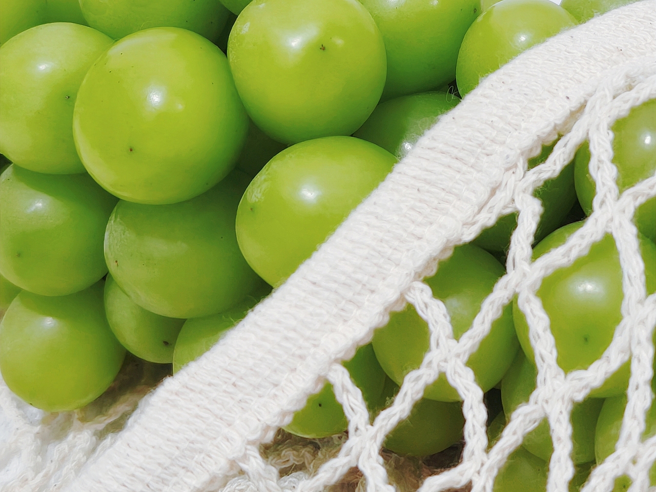 夏天的綠色記憶（圖ZMzkxMTU2MDA0） - 美食攝影 - 站酷設(shè)計師朱燕吧原創(chuàng)素材 - 站酷ZCOOL