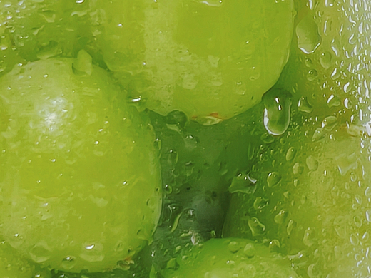 夏天的绿色记忆