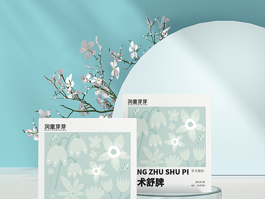 苍术舒脾膏贴包装设计提案 
