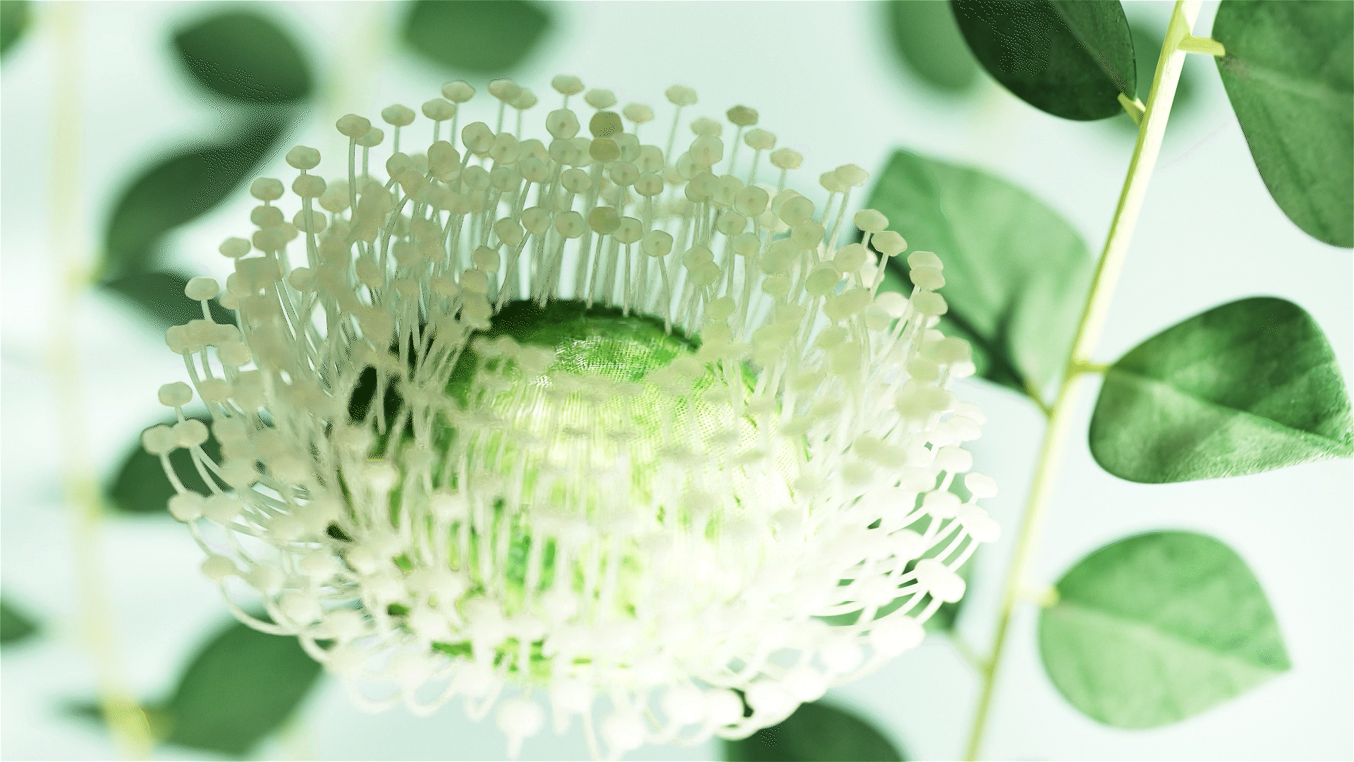 清洁泡腾片——三维设计