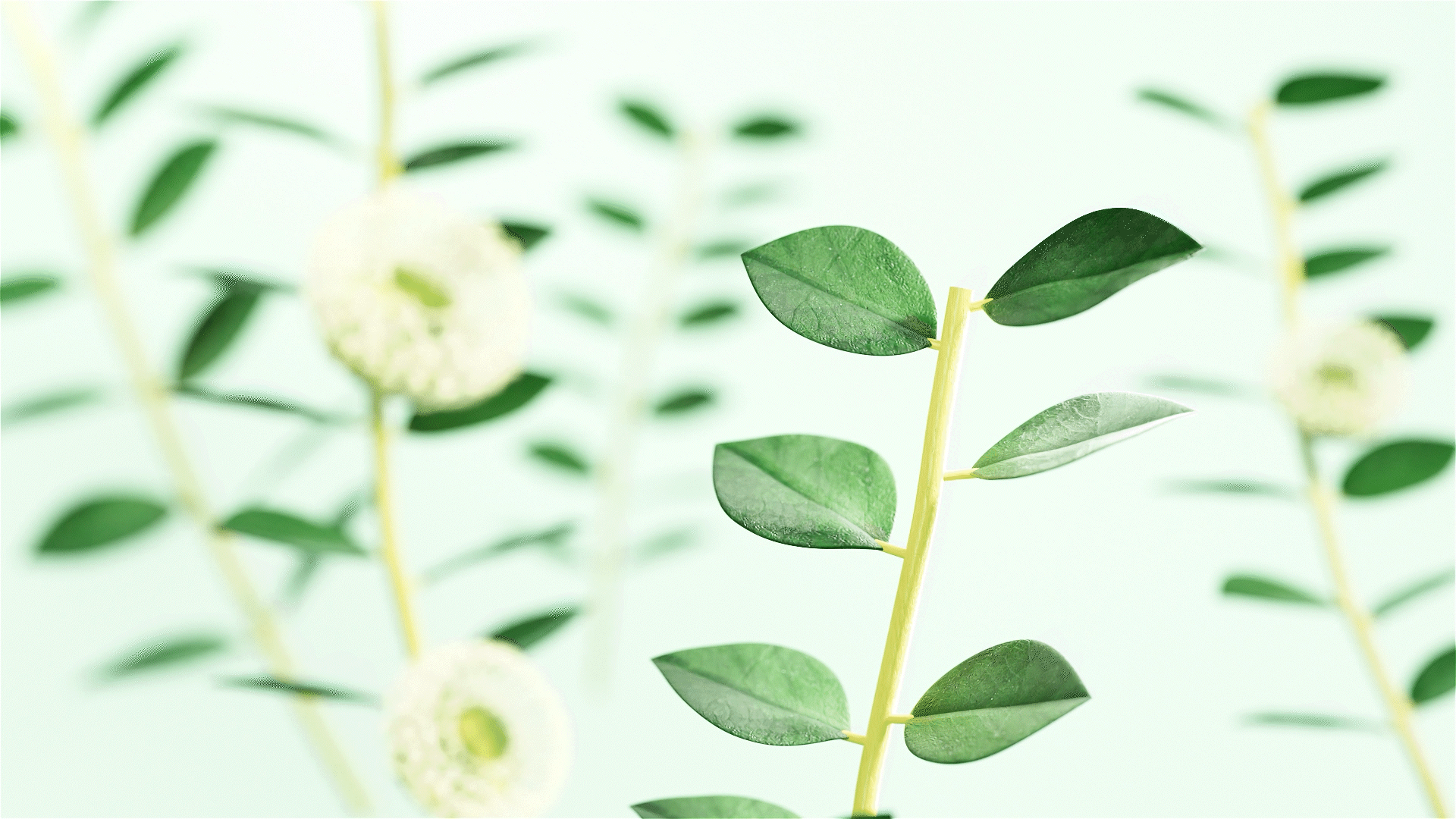 清洁泡腾片——三维设计