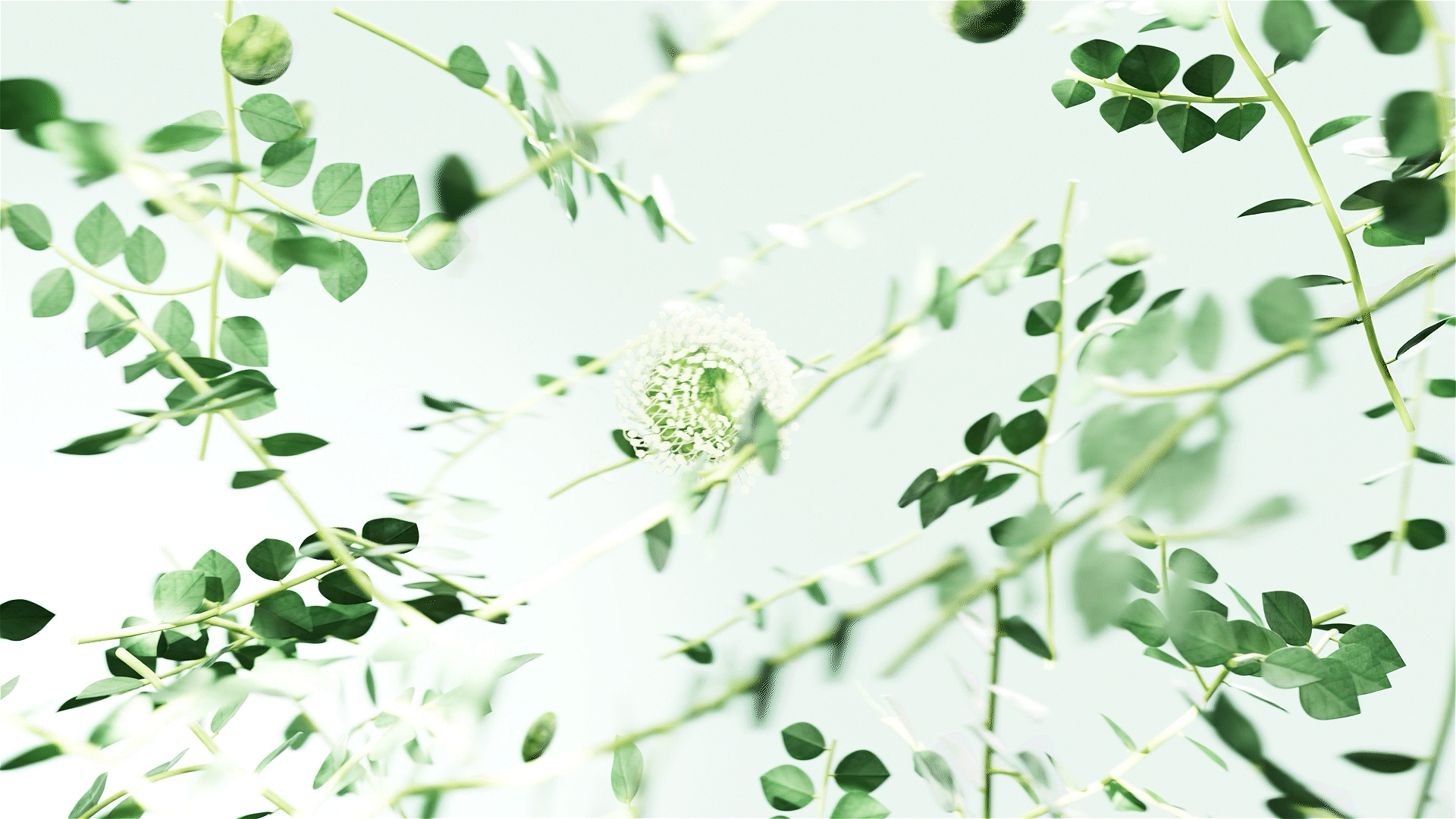 清洁泡腾片——三维设计