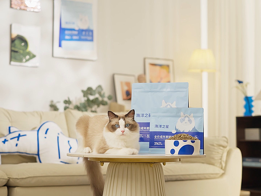 海洋之星猫粮广告拍摄