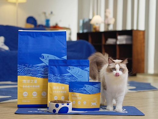 海洋之星全价成猫粮广告拍摄