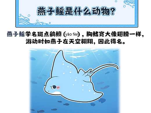 燕子鳐尾巴和蝎子尾巴一样有du？<br><br>﻿ 