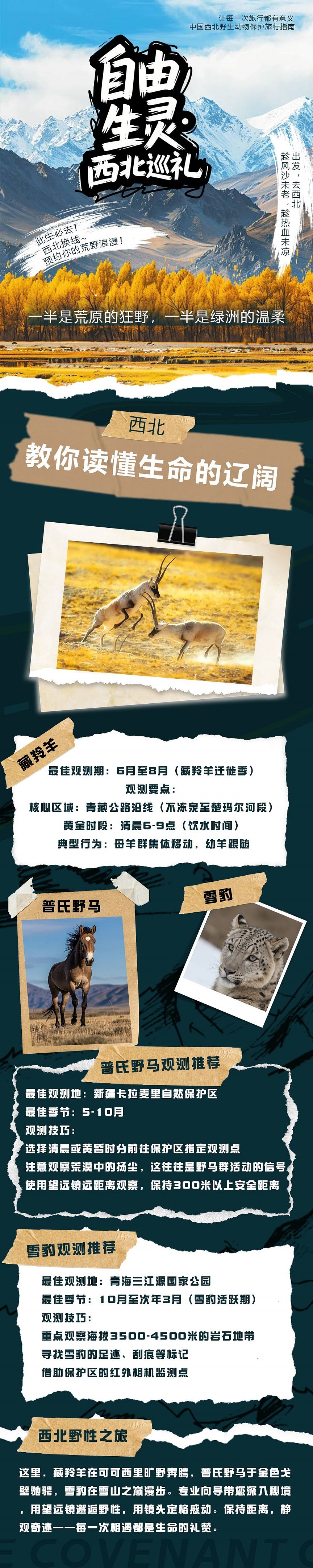 UI+平面（图ZMzkxMTk1OTIw） - APP界面 - 站酷设计师武小明原创素材 - 站酷ZCOOL