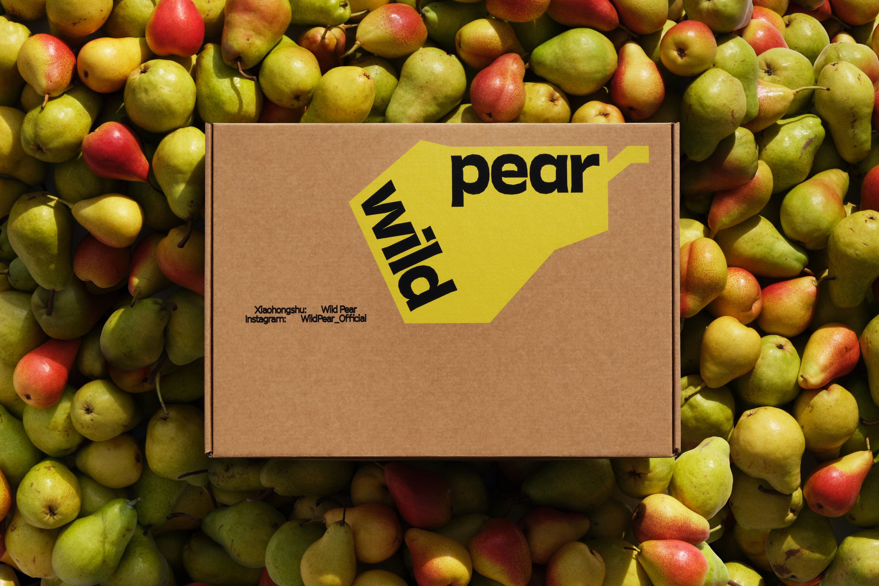 为紧张的生活松一松发条-WILDPEAR 野梨品牌视觉｜365天的好设计NO.91（图ZMTUxMDM5MTY=） - 观点 - 站酷设计师站酷资讯原创素材 - 站酷ZCOOL