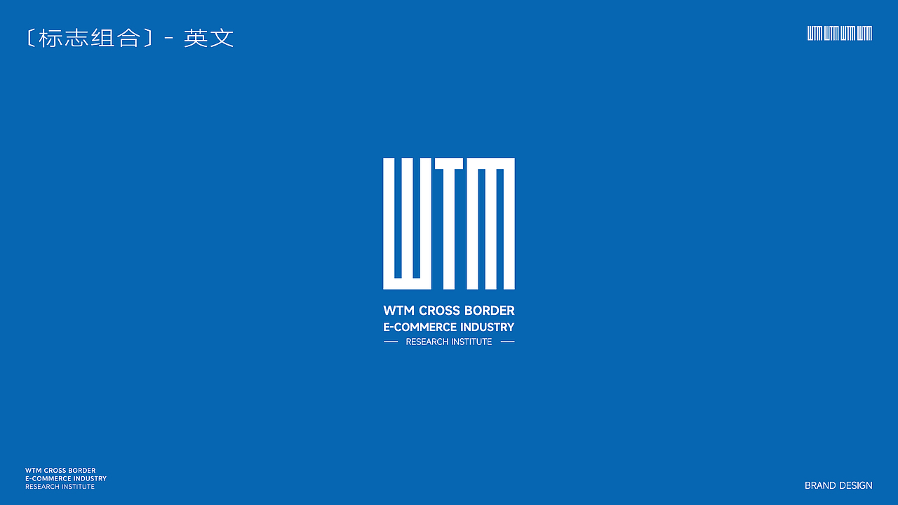 WTM跨境电商产业研究院LOGO设计|企业品牌形象VI设计