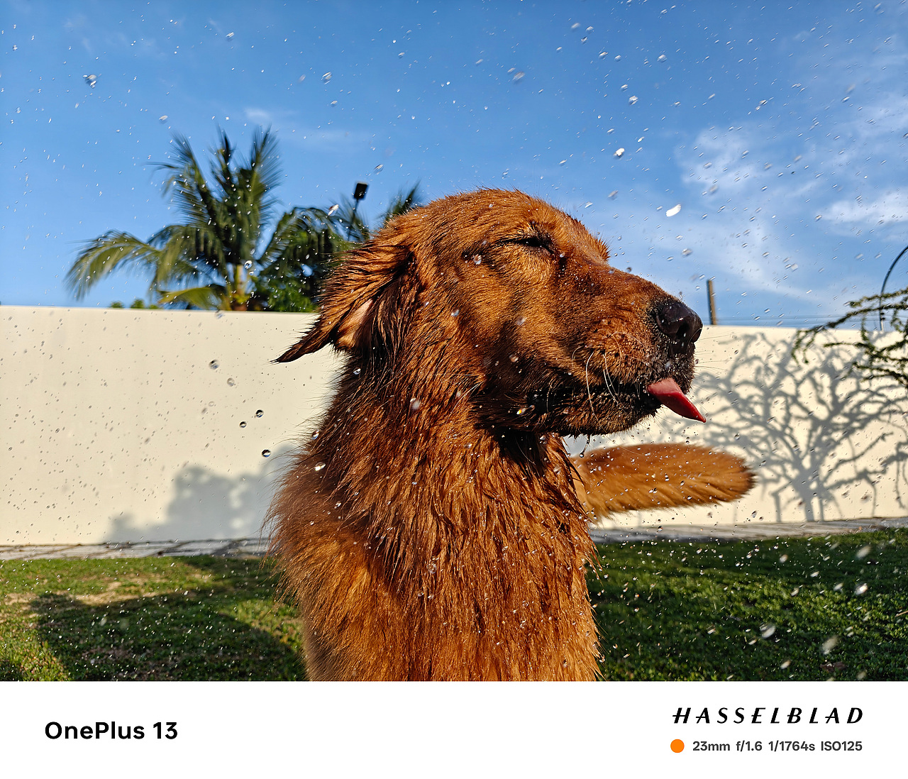 手机样张｜捕捉最美好的瞬间（图ZMzkxMjI5MzYw） - 人像摄影 - 站酷设计师yangdenise原创素材 - 站酷ZCOOL