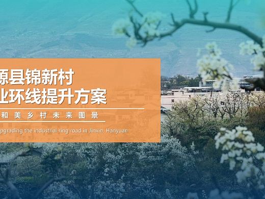 2025汉源锦新村乡镇农村水果种植产业乡村振兴规划