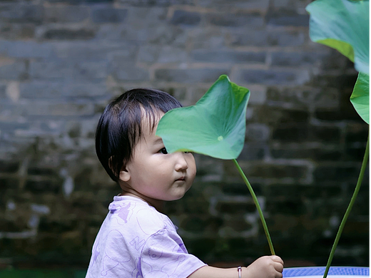 喜欢镜头里的每个故事