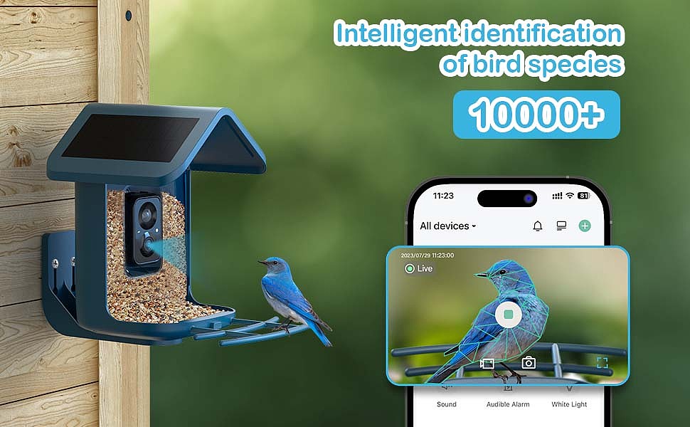 亚马逊套图（图ZMzkxMjQ3NTA4） - 品牌 - 站酷设计师啊猿原创素材 - 站酷ZCOOL