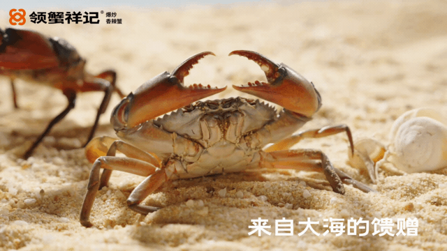 香辣炒蟹美食视频 | 领蟹祥记 X 口水视觉